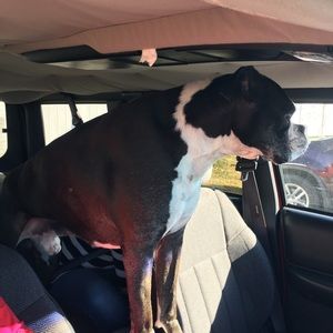 Meet your Posher, Alivea